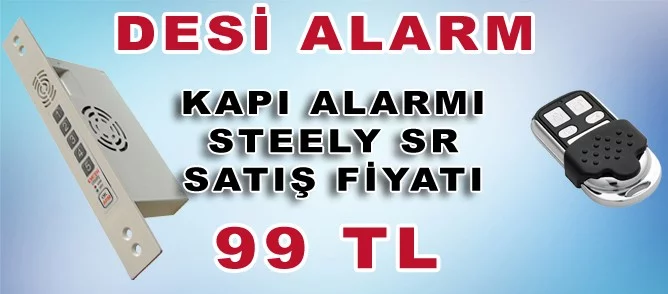 desi-steely-sr